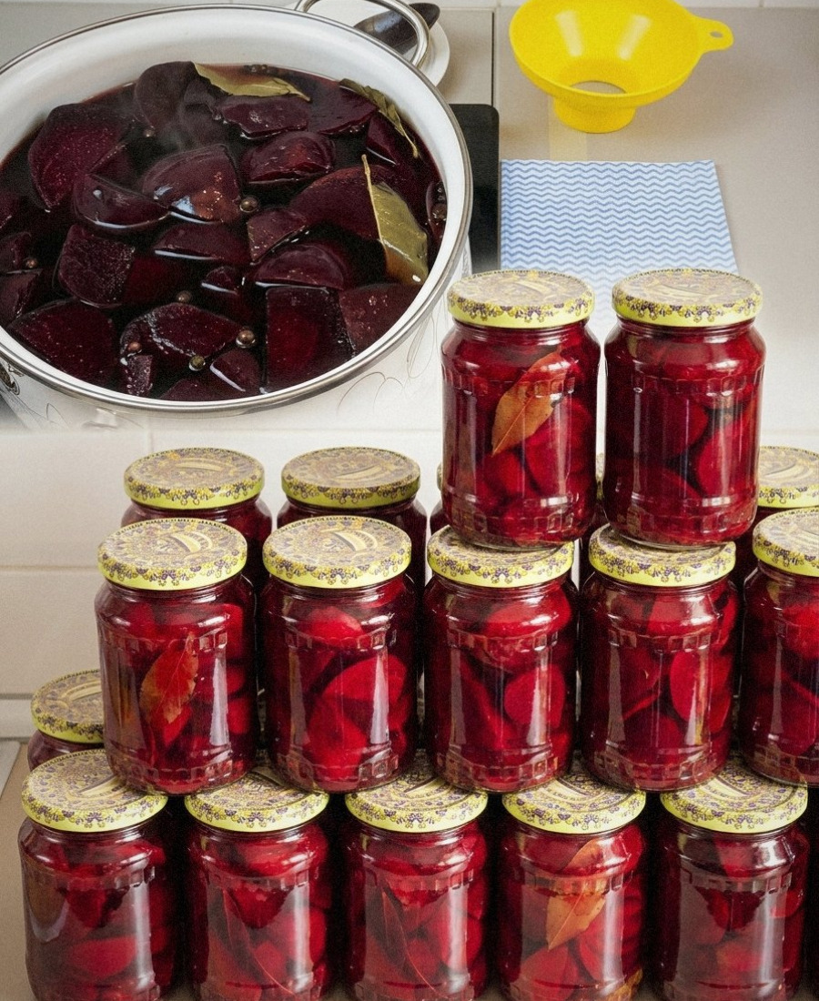 Маринований буряк шматочками на зиму: рецепт універсальний, з них можна готувати борщі, додавати в салати та вінегрети